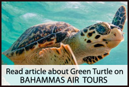 Brendal's - Bahamas Air Tours