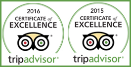 Rated Excellent by TripAdvisor Travelers
