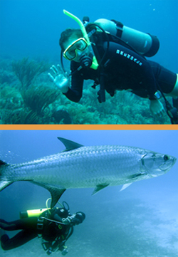 Diving with Brendal in Green Turtle Cay