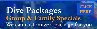 Packages and Specials